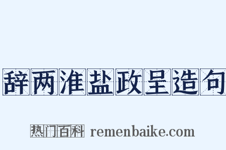 辞两淮盐政呈造句是什么意思的图片